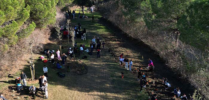 Viladecans celebra l'any Green Leaf amb la plantada de 47 espècies per impulsar el projecte Viu Verd